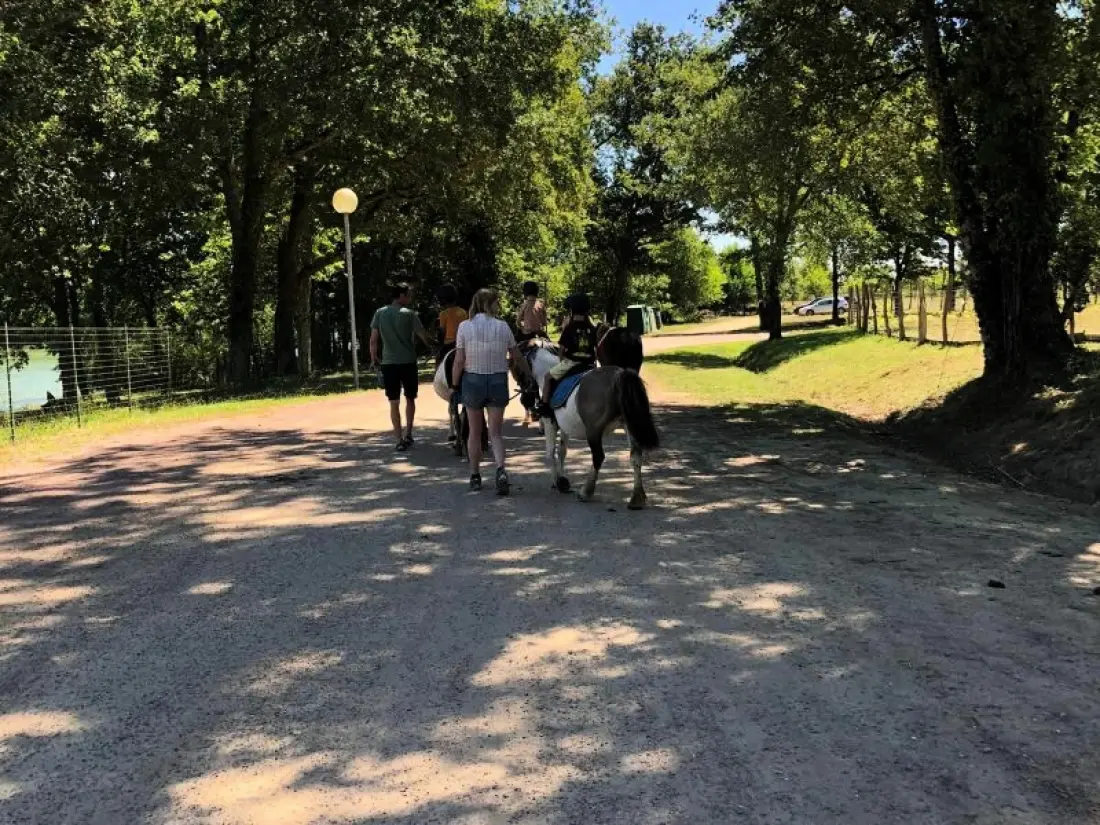 Camping Les Lacs d'Armagnac 4 étoiles★★★★