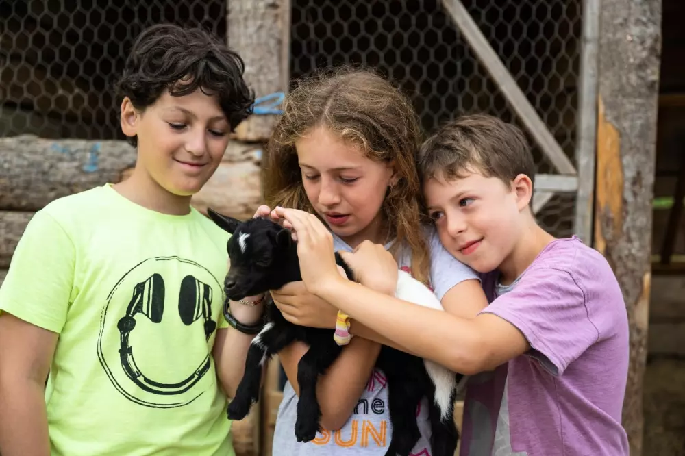 Camping Les Lacs d'Armagnac 4 étoiles★★★★