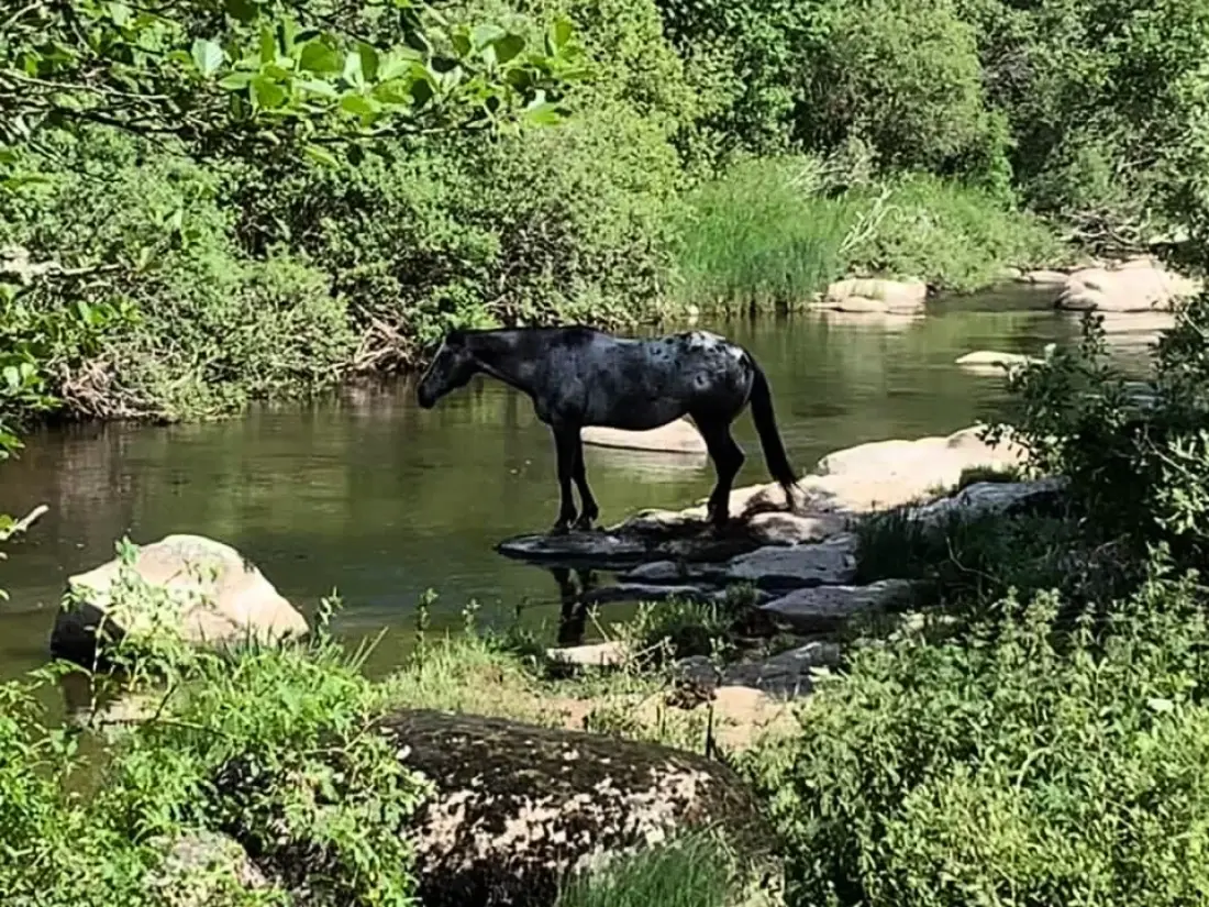 Gîte de France Le bes, à la chaldette 3 épis