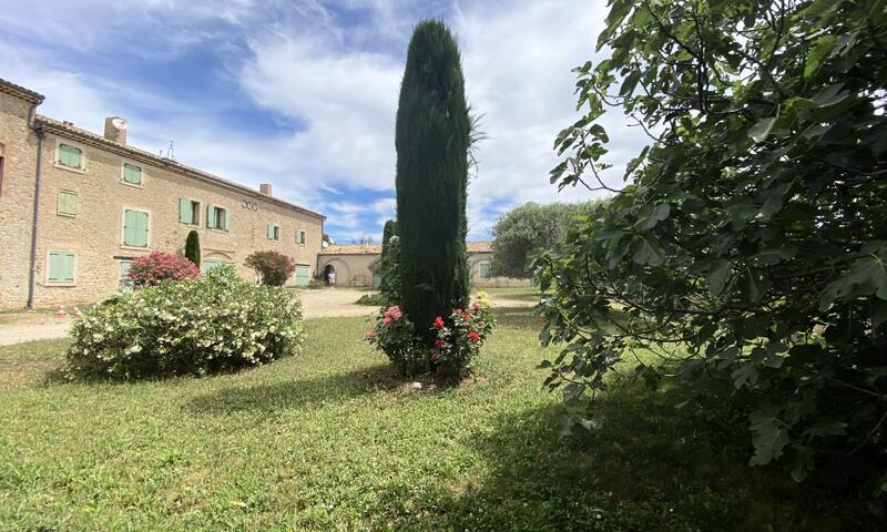 Magnifique Appartement Au Cœur Des Champs De Lavande - 8-9 Personnes - - Brunet - 7