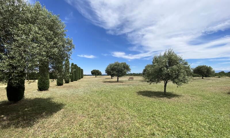Magnifique Appartement Au Cœur Des Champs De Lavande - 8-9 Personnes - - Brunet - 9