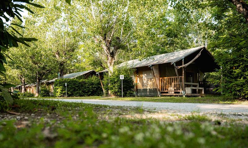 Camping La Chiocciola - - Bucine - 12