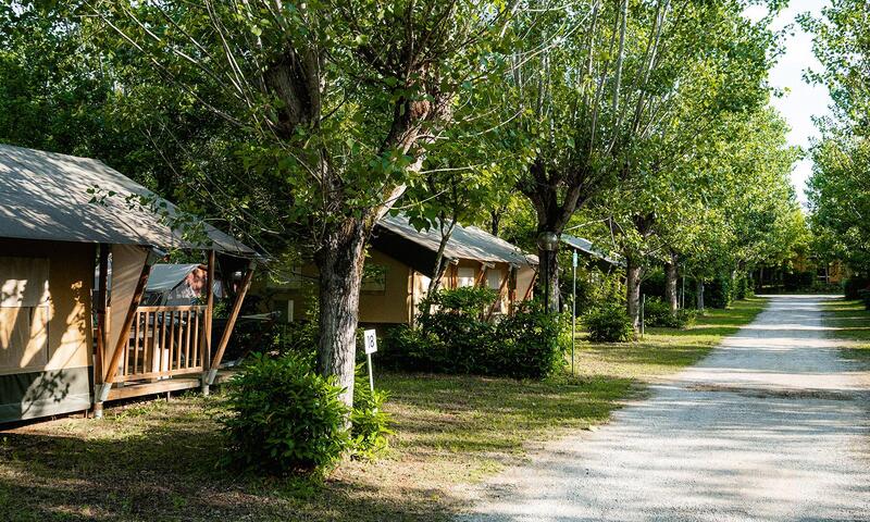 Camping La Chiocciola - - Bucine - 13