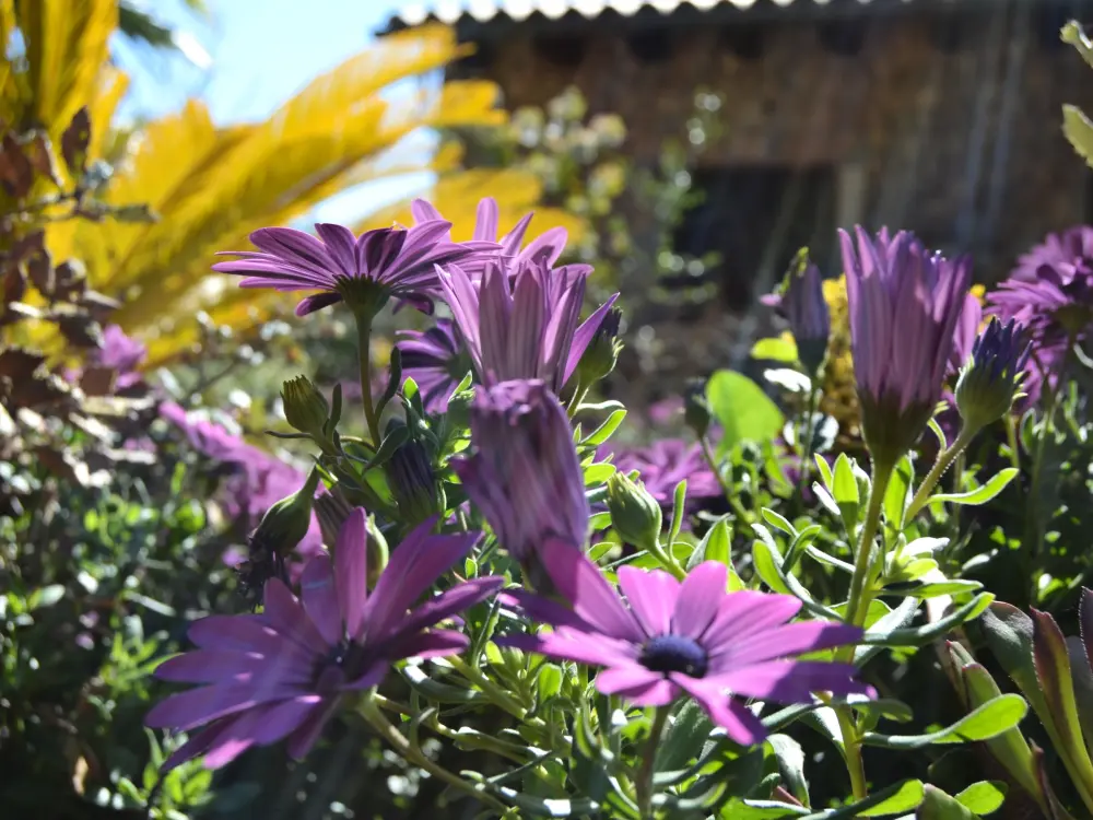 Maison de Vacances Búger 33