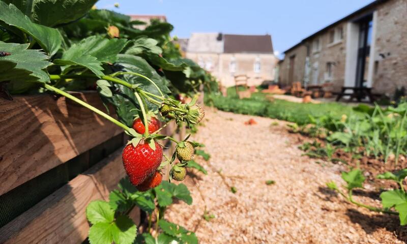 Gîte de France Grain d'orge et cornouiller 3 épis - - Bulson - 36