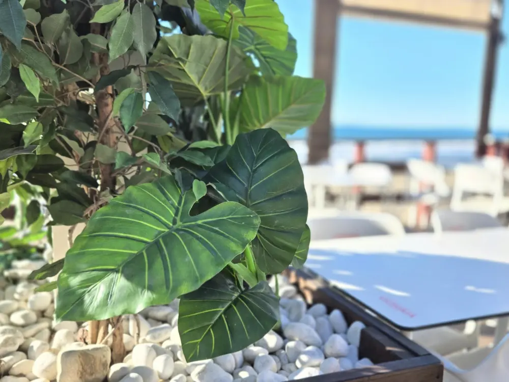 Location de Vacances Calahonda 24