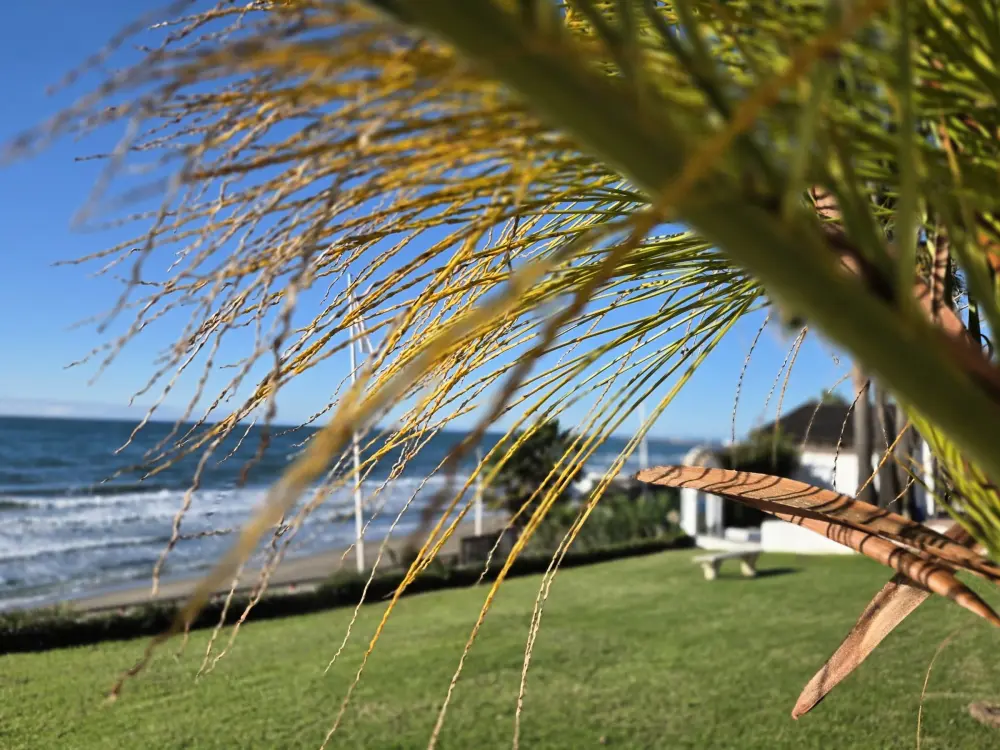 Location de Vacances Calahonda 24