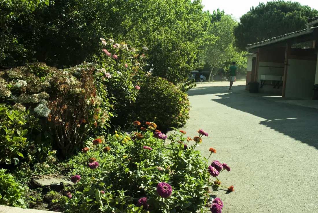Camping la Liscia3 étoiles★★★