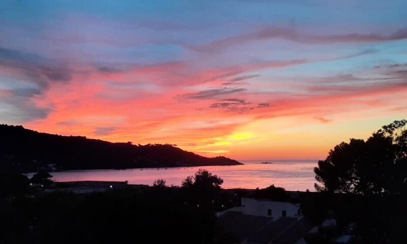 Bel Appartement à 100m De La Plage - - Calcatoggio - Corse - 6