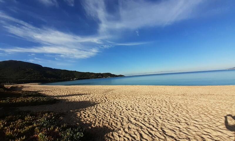 Bel Appartement à 100m De La Plage - - Calcatoggio - Corse - 5
