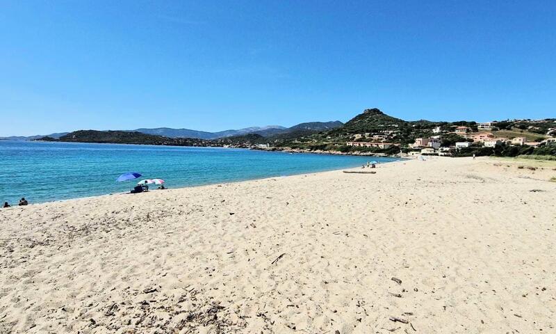 Studio Avec Balcon - Vue Sur Mer - - Calcatoggio - Corse - 13