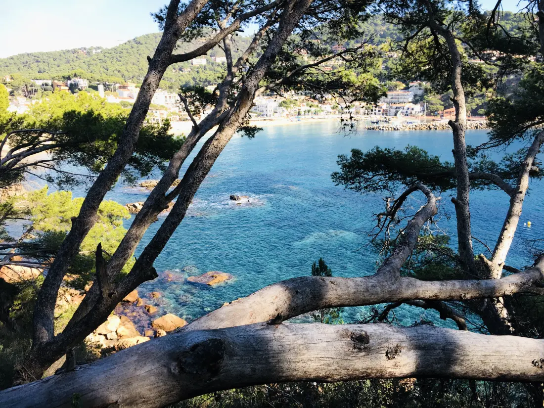 Location de Vacances Calella de Palafrugell 112
