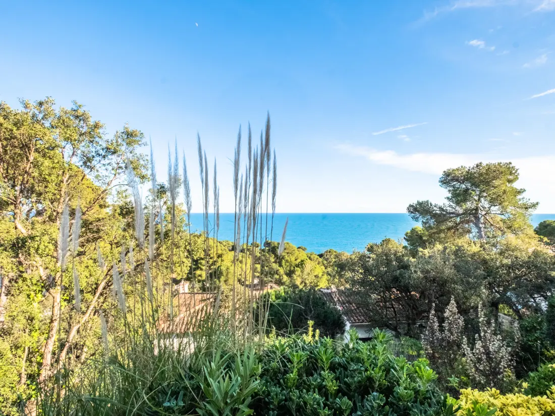 Location de Vacances Calella de Palafrugell 213