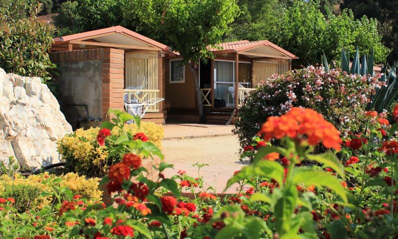 Camping Roca Grossa by Viajes Velero *** - Calella - 50