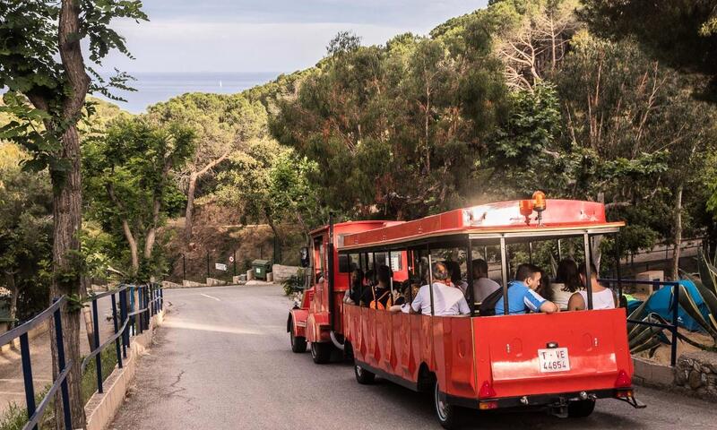 Camping Roca Grossa by Viajes Velero *** - Calella - 27