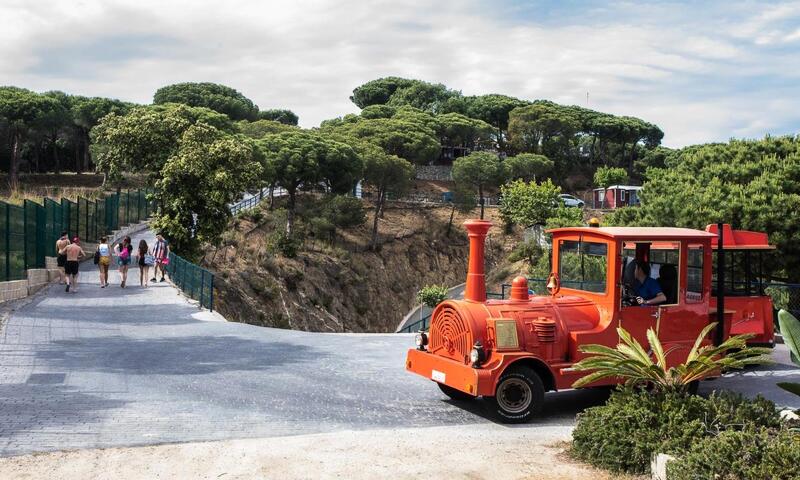 Camping Roca Grossa by Viajes Velero *** - Calella - 28