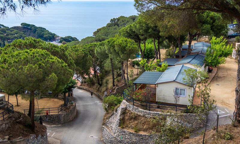 Camping Roca Grossa - Calella - 1