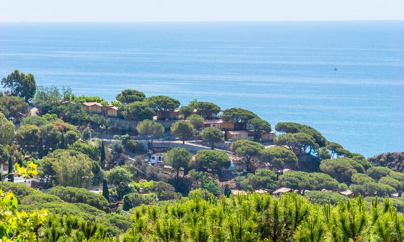 Camping Roca Grossa - Calella - 10