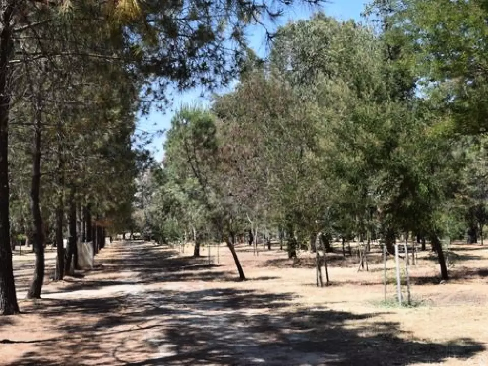 Camping Paradella 3 étoiles★★★