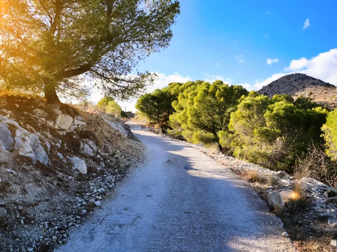 Maison de Vacances Callosa d'en Sarrià 4