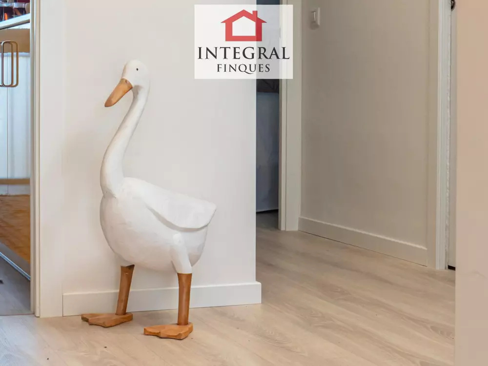 Location de Vacances Calonge 28