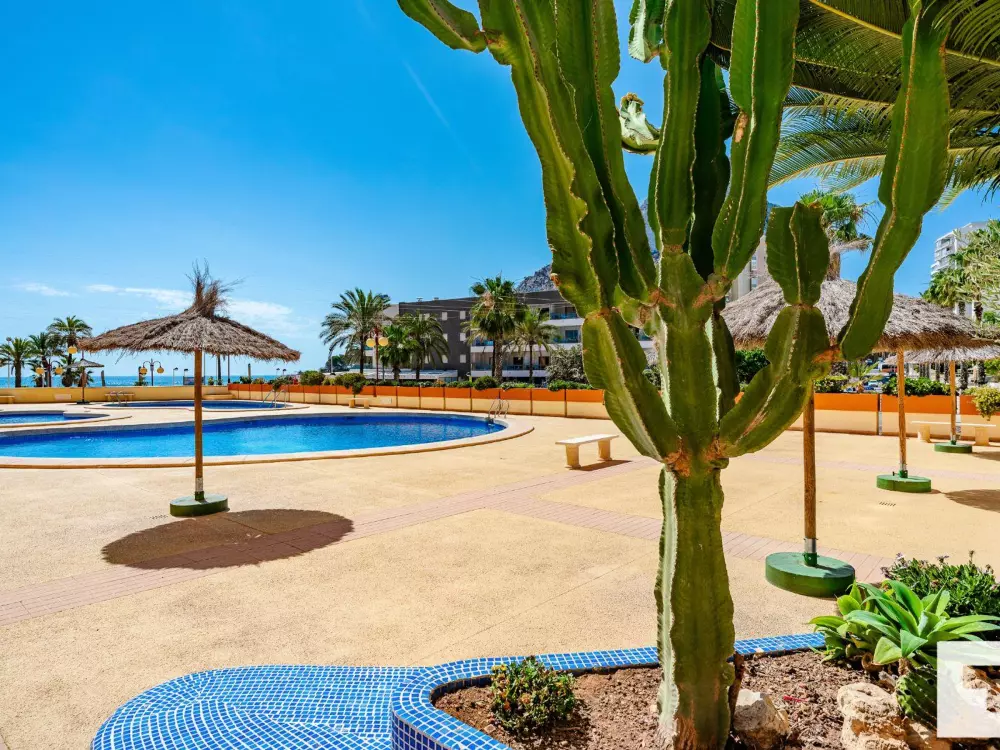 Location de Vacances Calp 185
