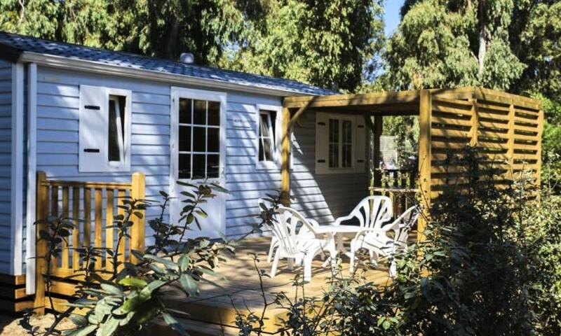 Camping International *** - Calvi - Corse - 1