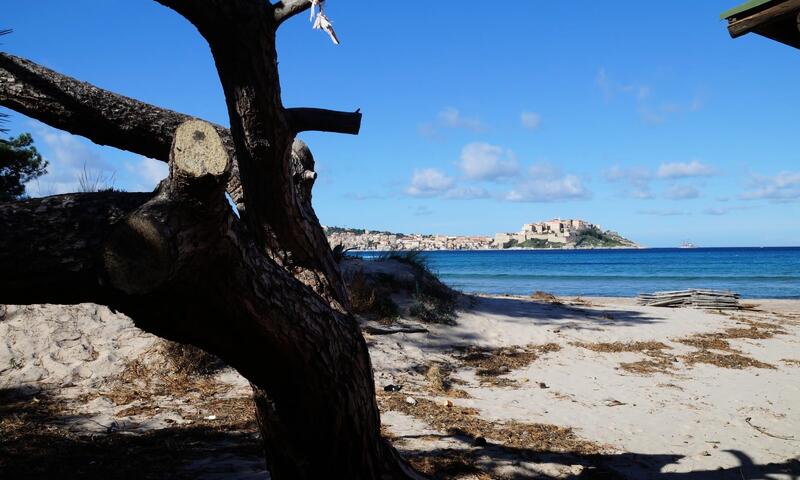 Camping International *** - Calvi - Corse - 14