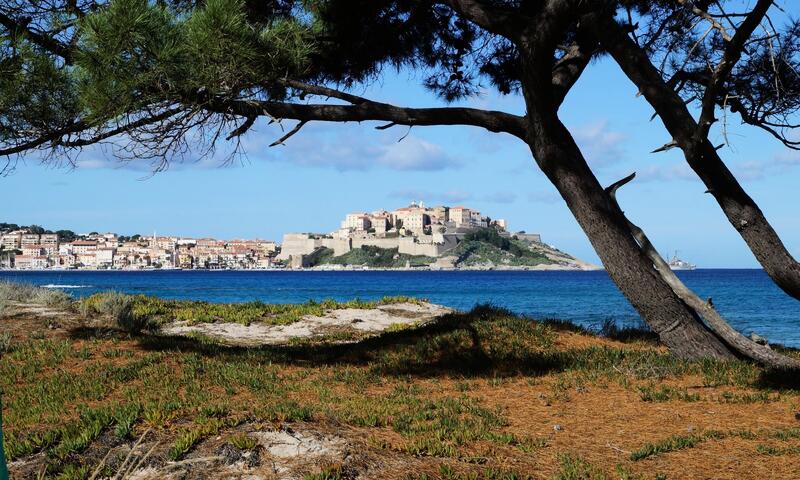 Camping International *** - Calvi - Corse - 16