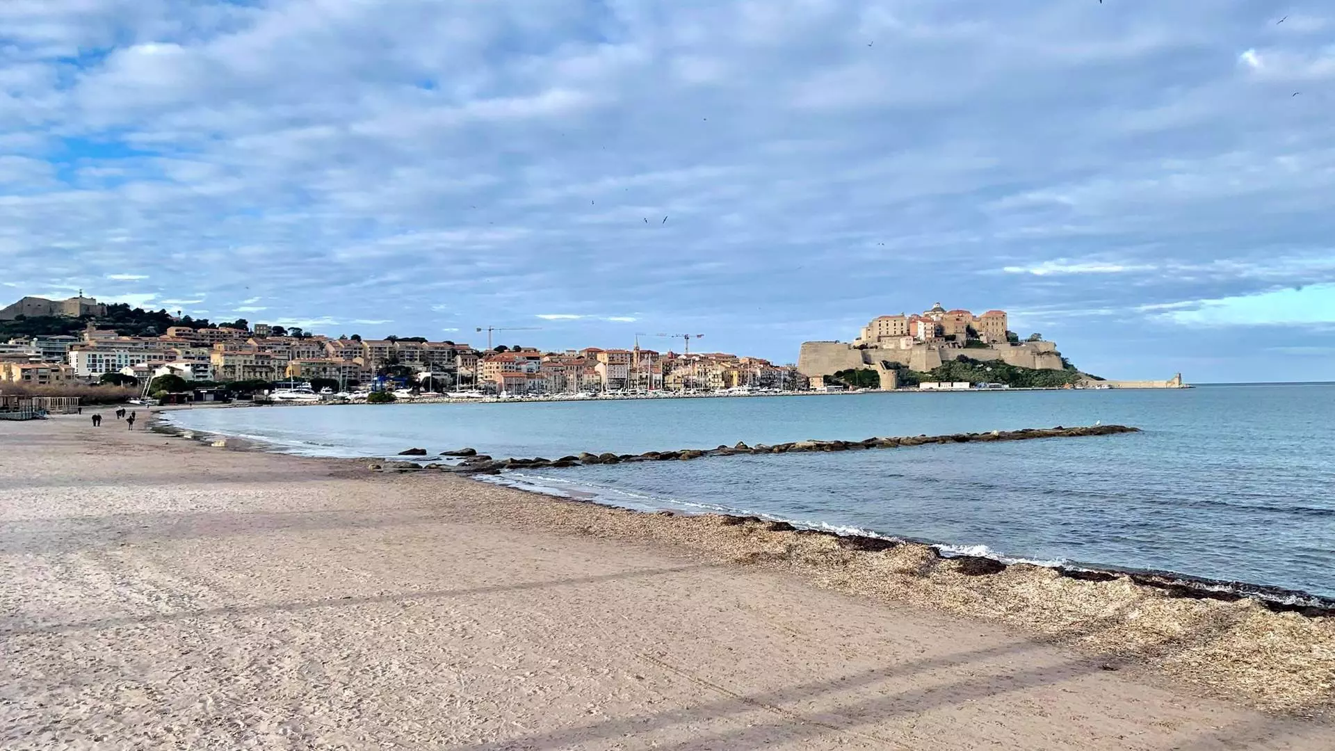 Résidence Caroline 2 - Calvi - Corse - 1