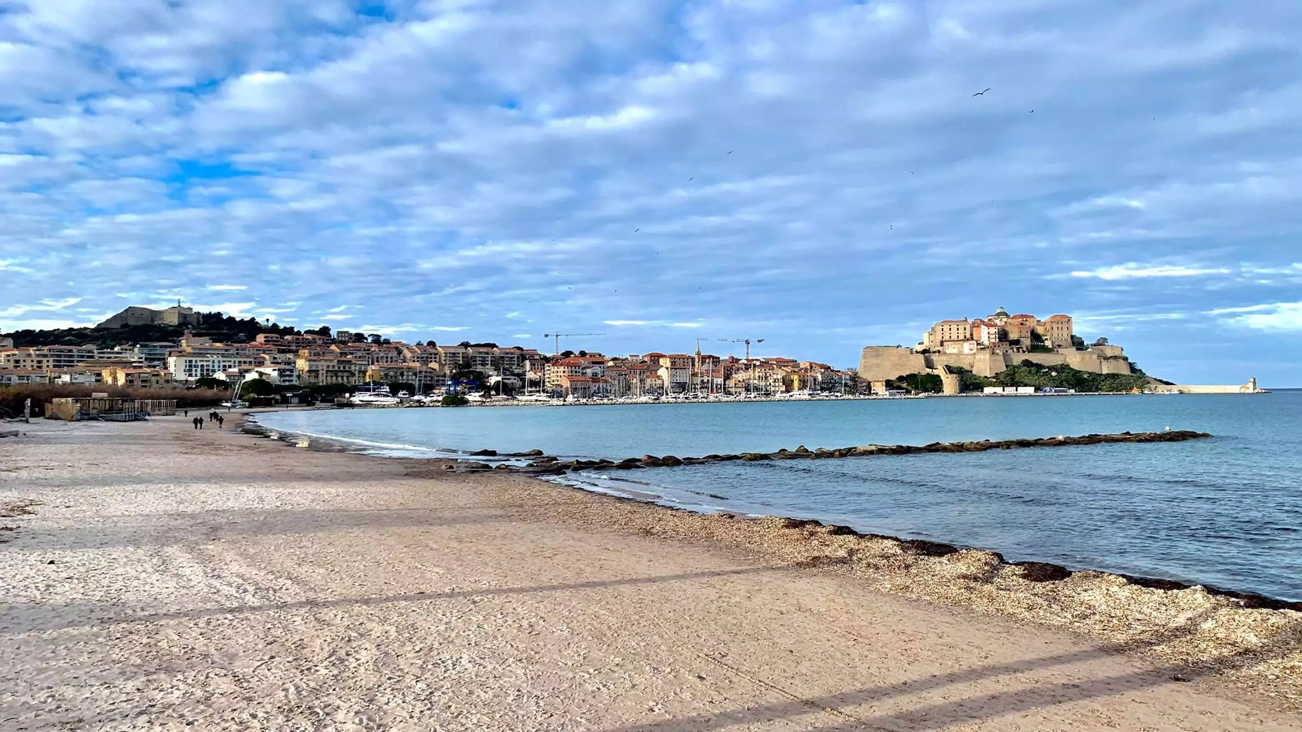 Residence Du Golfe - - Calvi - Corse - 1