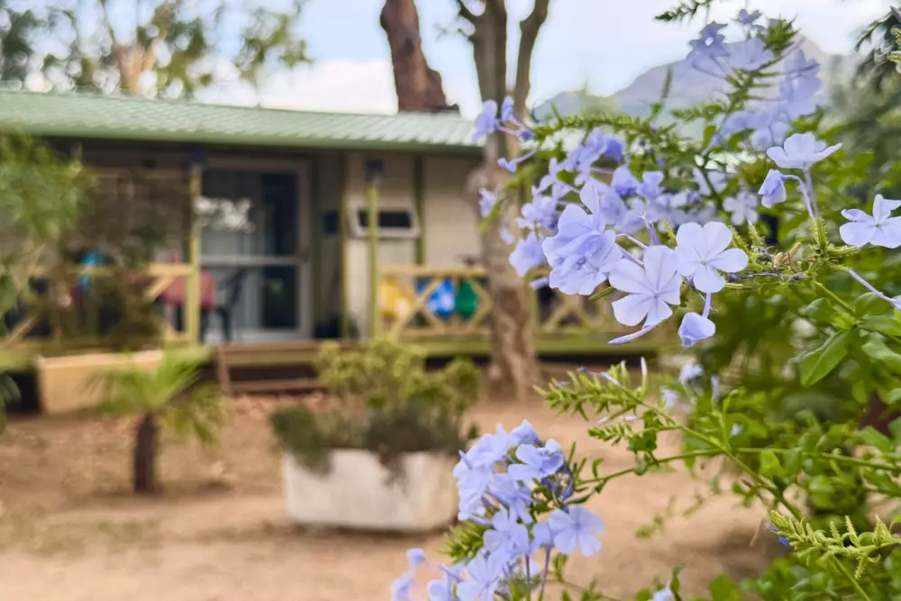 Village vacances ULVF - U Libecciu 2 étoiles★★