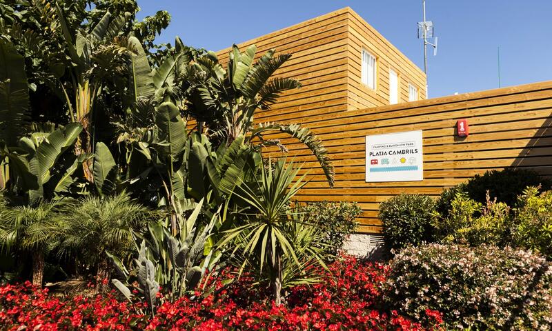 Camping Platja Cambrils by Viajes Velero ** - Cambrils - 3