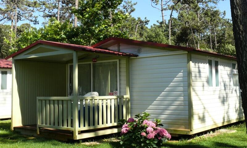 Camping Orbitur Caminha*** - - Caminha - 10