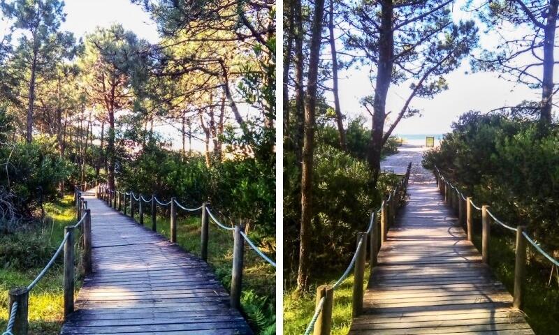 Camping Orbitur Caminha*** - - Caminha - 8