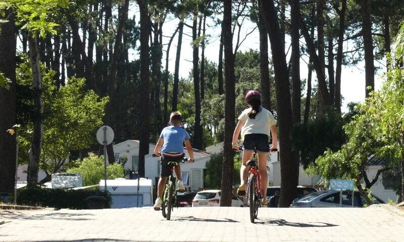 Camping Orbitur Caminha*** - - Caminha - 7