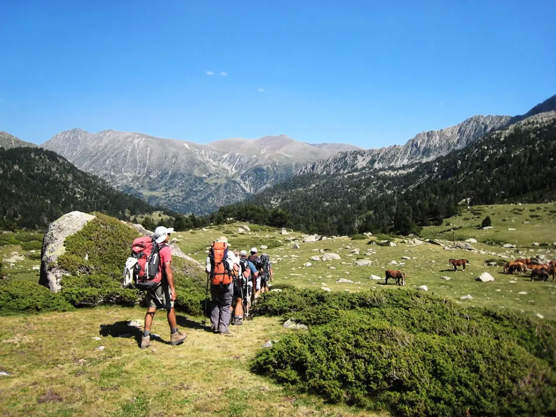 Flower Camping LA PIBOLA 3 étoiles★★★