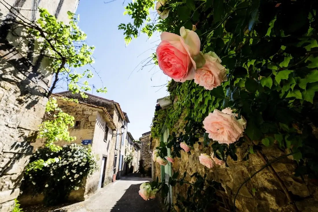 Flower Camping LA PIBOLA 3 étoiles★★★
