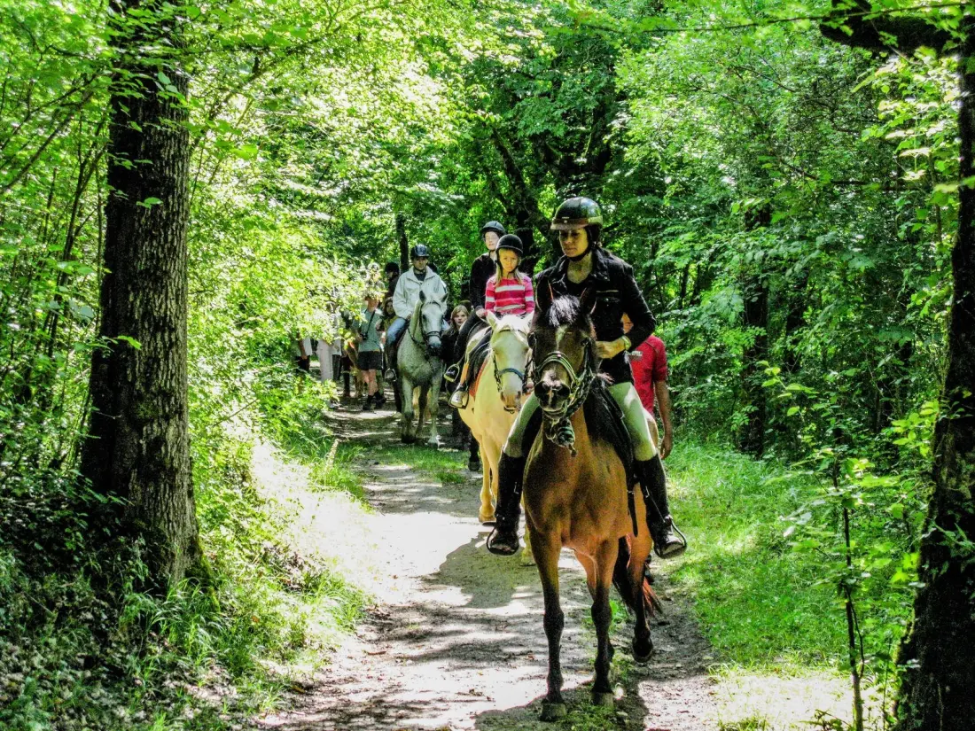 Flower Camping Le Val de la Marquise 4 étoiles★★★★