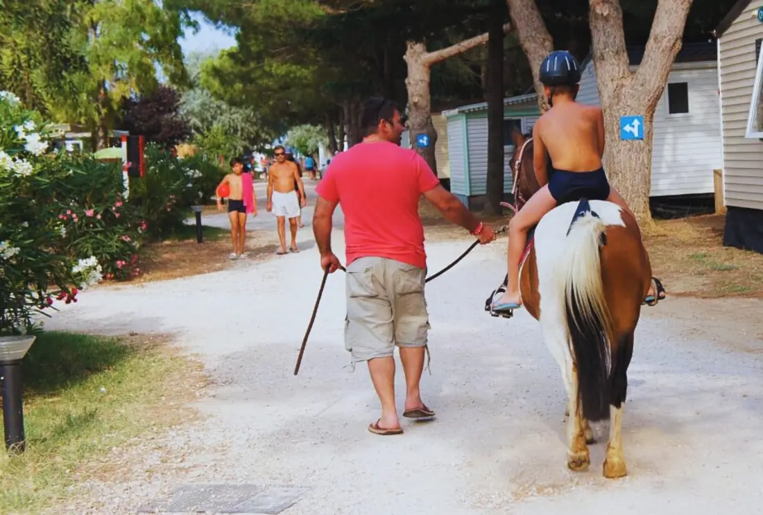 Camping Les Flamants Roses 4 étoiles★★★★