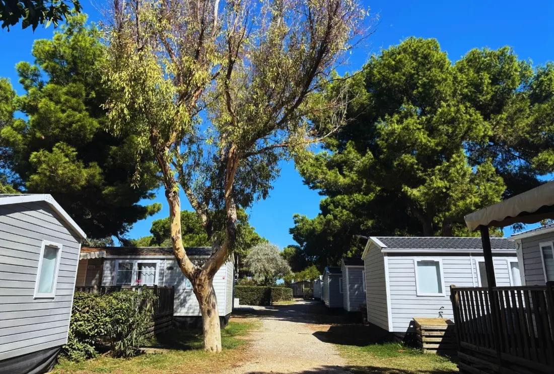 Camping Les Flamants Roses 4 étoiles★★★★