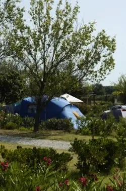 Camping les Fontaines 3 étoiles★★★