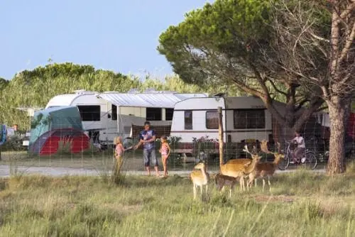 Camping les Fontaines 3 étoiles★★★