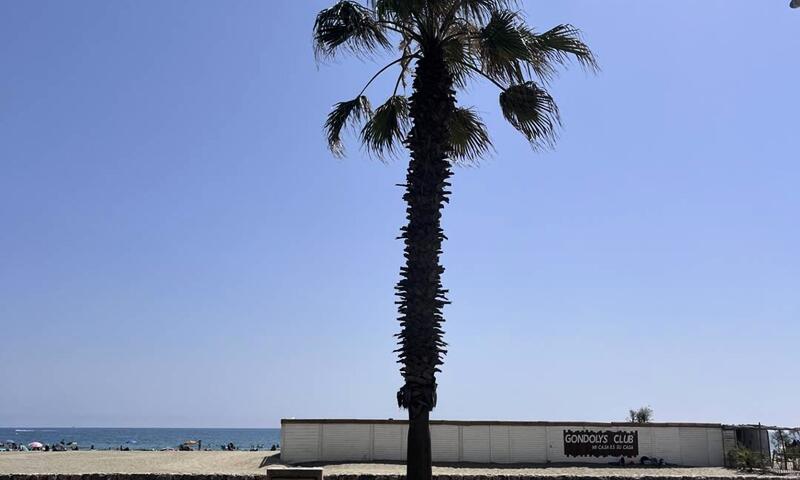 Résidence Ajoupa - - Canet-en-Roussillon - 14