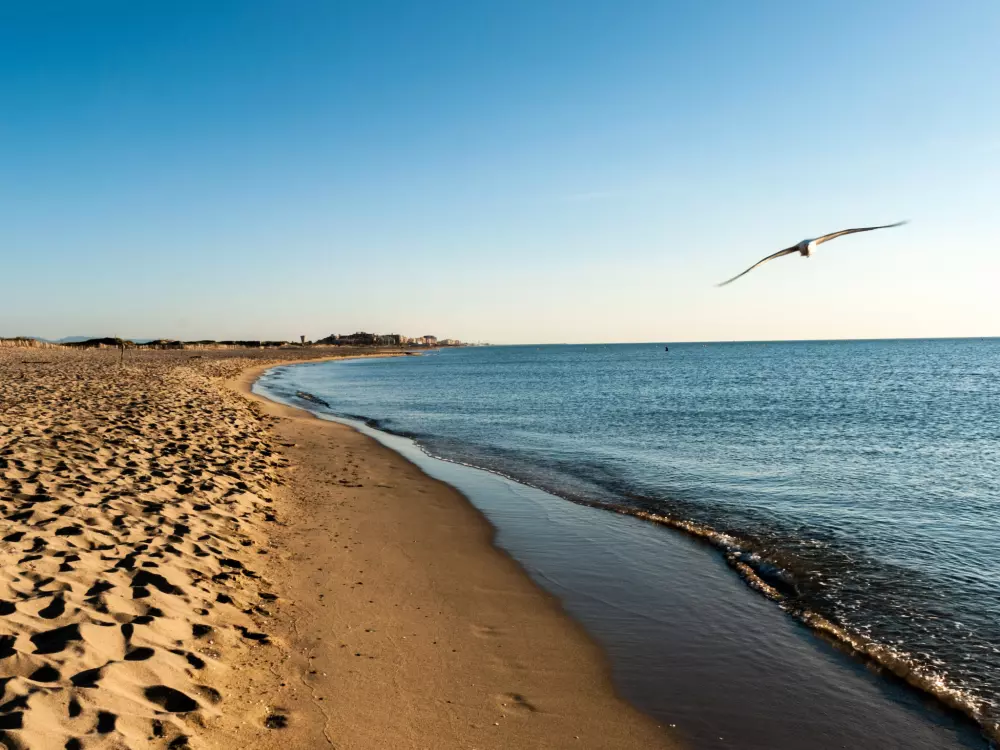 Résidence Le Régent