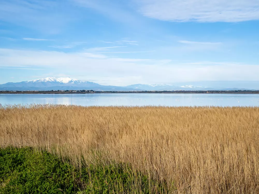 Résidence Le Régent