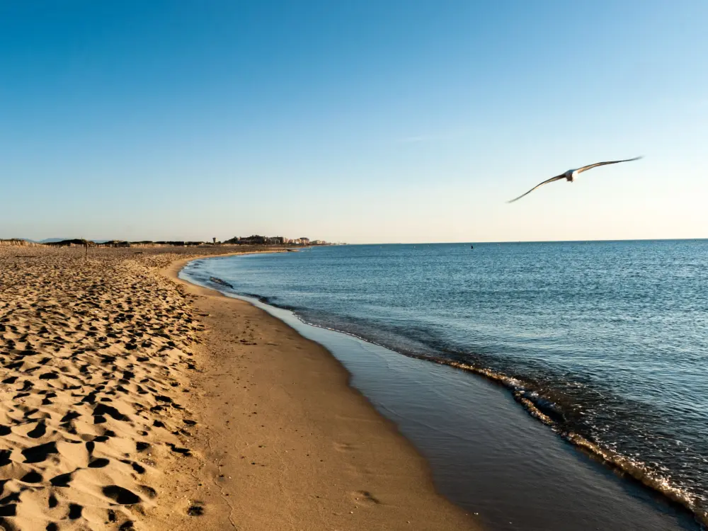 Résidence Les Marines de Port Canet