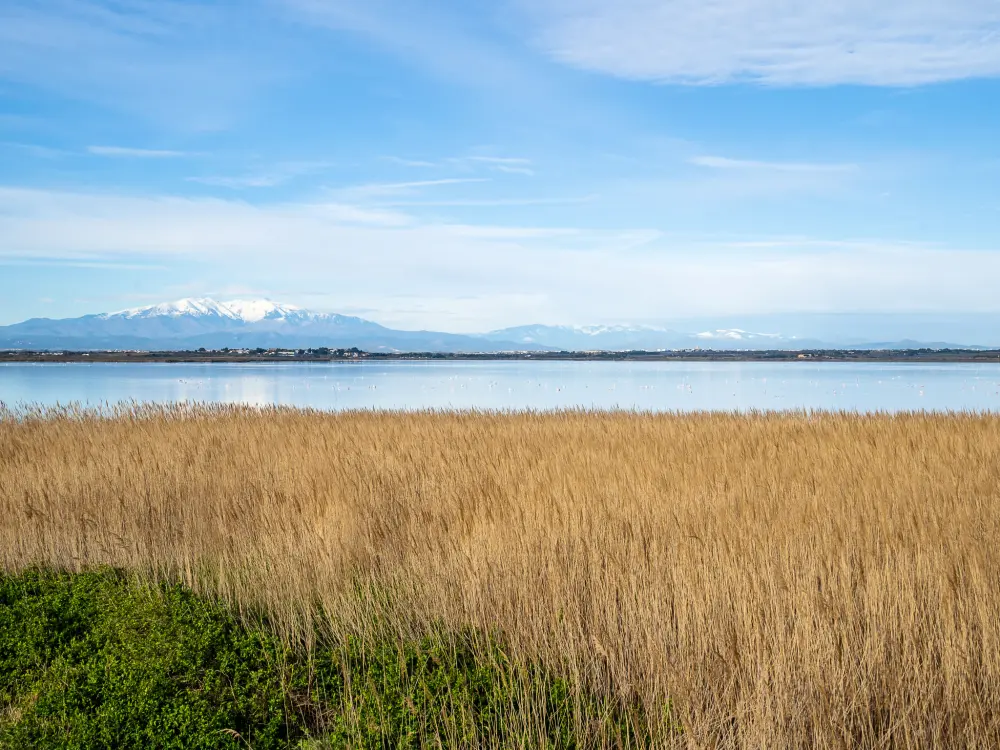 Résidence Les Marines de Port Canet