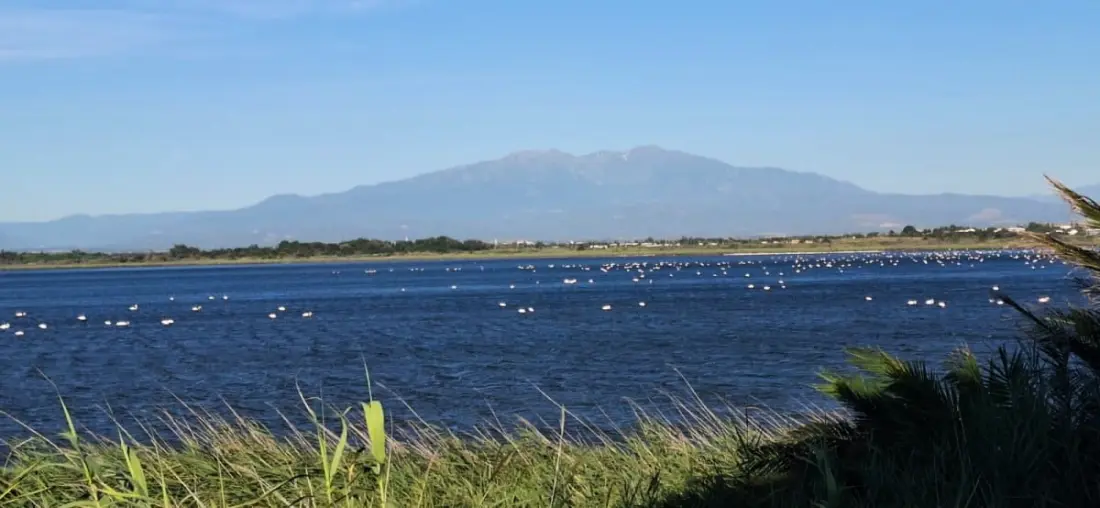 Résidence Camping Mar Estang - Mobilhome - 6 Pers - Vu Sur étang