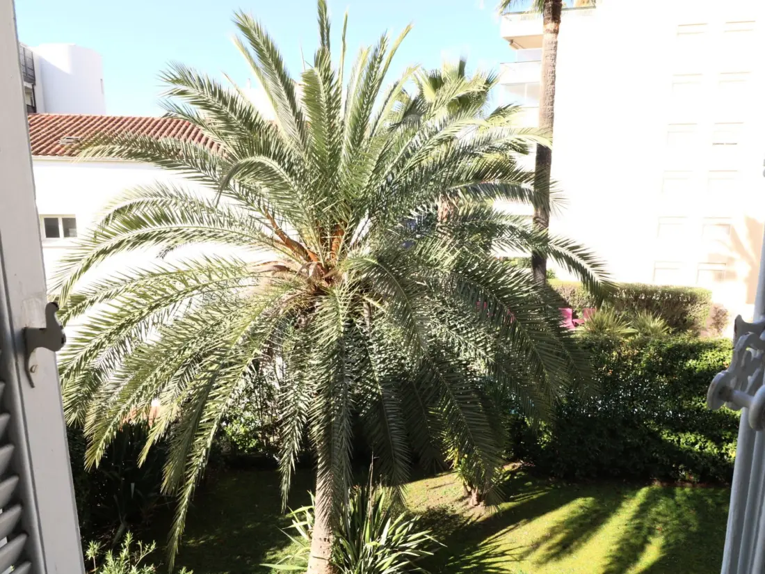 Location de Vacances Cannes